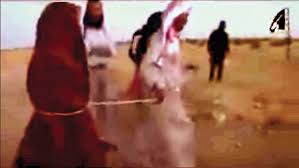 الجهاد  والضلال….