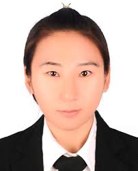 Developments of Highly Efficient Perovskite Solar Cells