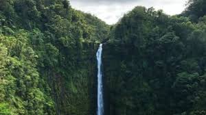We did not find results for: 5 Arti Mimpi Air Terjun Dari Yang Jernih Hingga Menyebur Ke Dalamnya