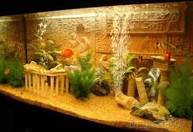 Sekalipun demikian yang biasa dipilih untuk merawat oscar pada umumnya yang berbentuk persegi panjang. Ikan Feng Shui Semua Mengenai Akuarium Feng Shui