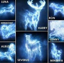 Expecto Patronum Harry Potter Patronus Harry Potter Spells Harry Potter Puns