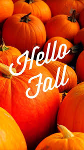 We did not find results for: Fall Iphone Wallpaper Amazing Pretty Wallpapers Amazing Fall Iphone Pretty Wallpaper Iphone Wallpaper Fall Fall Wallpaper Pretty Wallpapers