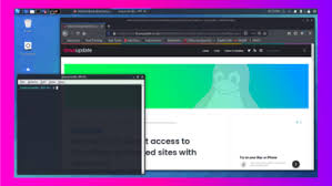 Why would you need to run gui applications in wsl? Wsl2 Linuxupdate