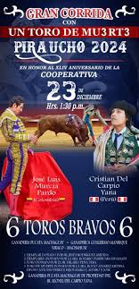 VIVA EL PERÚ TAURINO, Y HABER DIGAN QUE LA FIESTA BRAVA NO ESTA EN LO MAS  RICÓNDITO DE NUESTRO PERÚ. Dios reparta suerte a todos...