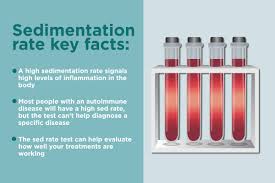 esr what is the erythrocyte sedimentation rate blood test