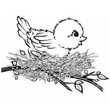 You can search several different ways, depending on what information you have available to enter in the site's search bar. Interactive Magazine Printable Bird Coloring Pages