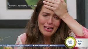 Despierta América! : KDTV : October 9, 2020 7:00am-11:00am PDT : Free  Borrow & Streaming : Internet Archive