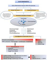 Ijms Free Full Text Multifactorial Scores And Biomarkers Of Prognosis Of Acute Pancreatitis Applications To Research And Practice Html