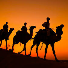 Camel festival bikaner the camel festival is an event organized in bikaner by the department of in this festival tea and sweets prepared by camel milk are made available to the visitors interested in by road rajasthan roadways run very comfortable deluxe buses from delhi (bikaner house. Bikaner Camel Festival Bikaner Camel Festival Vacation Package Camel Festival In Rajasthan