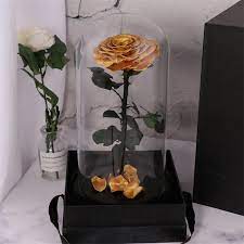 We did not find results for: China Real Natural Fresh Big Rose Preserved Flower Preserved Everlasting Real Roses In Glass Dome For Sale China Preserved Flower Rose And Valentines Day Price