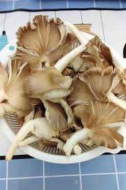 Crispy mushroom fry recipe / resepi cendawan goreng rangup cendawan goreng rangup hace 7 meses. Cendawan Celup Tepung Super Rangup Masuk Sikit Air Kapur Goreng Garing Kl Media