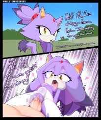 blaze the cat (sonic) drawn by delicious_soup | Danbooru