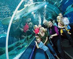 Check spelling or type a new query. æ¯ç¹ Deep Sea World