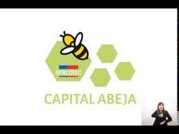El servicio de cooperación técnica (sercotec) lanzó el catálogo de navidad online para impulsar las ventas de los emprendimientos nacionales. Como Postular Al Capital Abeja Sercotec Mira Este Tutorial Youtube