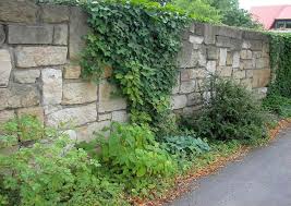 Sichtschutz Vor Dem Haus Gartenmauer Garten Gartengestaltung