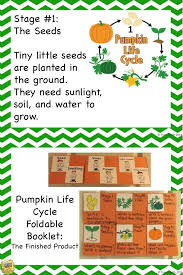 pumpkin life cycle science unit with math and ela