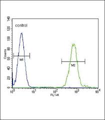 1 0.600 0.578 0.550 0.557 0.540 0.514. Slc8a1 Antibody Mybiosource