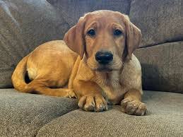 Tabitha Sisk's Instagram, Twitter & Facebook