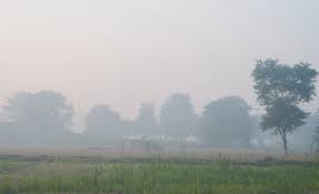 Smog (countable and uncountable, plural smogs). Smog Causes Effects Types Britannica