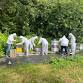 Advanced Beekeeping Classes 2026 event in Peconic, NY