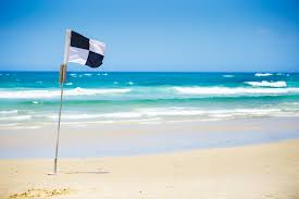 Die dänische flagge, danebrog genannt, gehört zu den ältesten durchgehend benutzten flaggen der welt. Was Bedeuten Die Flaggen Am Strand Urlaubsguru