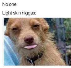 Who Keeps Making These Yo Lmaooo I Need My Views To Go Up Fm Fa More Shawtypr Funny Tweets Funny Light Skin