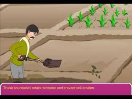 Methods To Prevent Soil Erosion Youtube