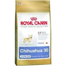 Royal Canin Maxi Adult 15kg 3kg Dwro Pet O Clock Promo Banners Pinterest