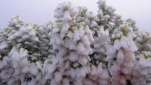 Onda polar no sul do brasil tem maior anomalia de frio do mundo fora dos polos. Neve No Sul Do Brasil Em 2019 Previsao Para Sc E Rs