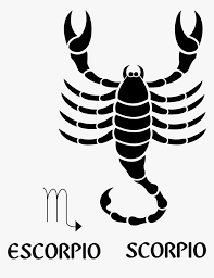 A year is divided into 12 parts, each represented by its own zodiac symbol. Zodiac Signs Symbols Scorpio Hd Png Download Kindpng