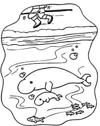 37+ manatee coloring pages for printing and coloring. Manatee Coloring Pages Kizi Coloring Pages