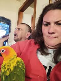 Lost pet choco in Pensacola area, please help find him