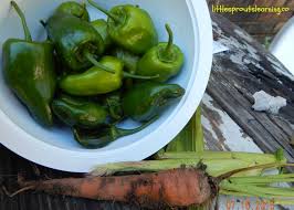 We also make enough to give away to friends and family that love the fresh pepper grind. 9 Ways To Use Excess Hot Peppers From The Garden