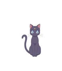 Crazy moon cat lady by dooomcatthe sailor scout squad found themselves with far too much time on their hands after defeating queen beryl and the dark kingdom, and the offtime was making them feel a bit stir crazy. Luna Crystal Sailor Moon Wiki Fandom