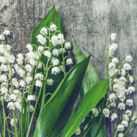 Dora "June" McConnell Obituary (1923-2024)