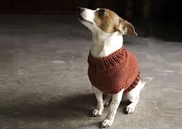 Easy dog sweater knitting pattern. 12 Dog Sweaters And Other Knitting Patterns For Pups