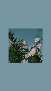 Shallow focus photo of pink flower. Simple And Aesthetic Blue Floral Wallpaper For Phone Android And Iphone