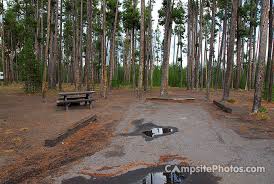 We did not find results for: Grant Village Campsite Photos Camping Info Reservations