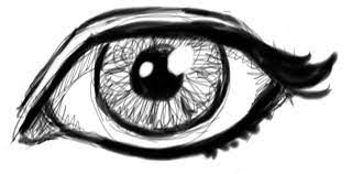 See more of how to draw cartoons on facebook. How To Draw Realistic Eyes With Easy Step By Step Drawing Lessons How To Draw Step By Step Drawing Tutorials