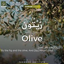 Pin By Manar On Arabic English In 2020 English Vocab Learning Arabic Learn English