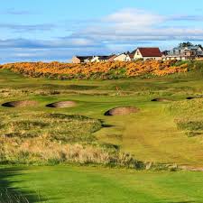 Scottish Golf Podcast On Instagram Royal Dornoch Came Out Top Scot In Golfdigest S Latest List Of Top 100 Golf Courses Golf Handicap Golf Tips For Beginners