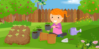 Importance of Plants – Adventures at your place