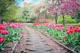 Check spelling or type a new query. Landscape Design Trends For 2018 K D Landscaping
