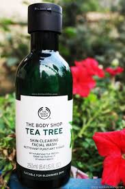 I was earlier using the clean and clear face wash which is comparably way cheaper than the body shop tea tree face wash, but i wanted to try this particular face wash. The Body Shop Tea Tree Skin Clearing Facial Wash Review Deck And Dine