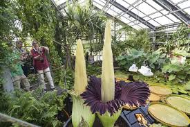 Trfihi Parks Parks Botanischer Garten Der Universitat Kiel