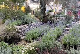 They brighten up beds and borders, add a pop of color to containers, and are a beautiful addition to cut flower arrangements or bouquets. Mediterranean Gardens For Pennsylvania Garden Housecalls