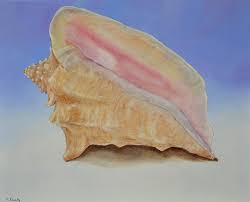 We did not find results for: Conch Shell Painting By Nancy Lauby