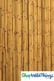 Plain Bamboo Curtain 125 Strands In Movie Australia Bamboo Curtains Beaded Curtains Curtains