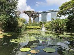 O Que Fazer No Gardens By The Bay Singapura Um Belo Jardim Futurista