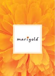 Spruce up your home and garden with qvc. Watch Jenn On Qvc Eight Hundred Furniture